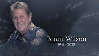 Beach Boys Legend Brian Wilson Dead at 82