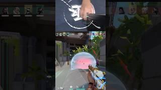I don’t know why they want to go in viper ult  #valorant #valorantclips #kuuhaku