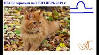 Весы гороскоп на СЕНТЯБРЬ 2019 г.