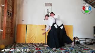 Техника Айкидо. Шомэн Учи Ирими Наге. Aikido technique. Shomen Uchi Iriminage.