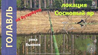 Русская рыбалка 4 - река Вьюнок - Голавль на бутерброд из насекомых