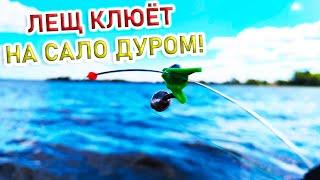 РЫБАЛКА НА ЛЕЩА!ЛОВЛЯ ЛЕЩА НА САЛО С ЛОДКИ!рыбалка на кольцо(на банки)2021