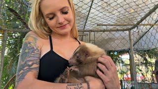 Animal Lovers Needed at Kowiachobee Animal Preserve in Naples, FL