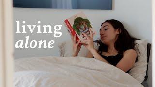 living alone - a productive vlog