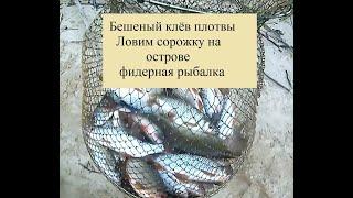 Рыбалка на острове. Нижний Новгород. Фидер. Как поймать много плотвы.