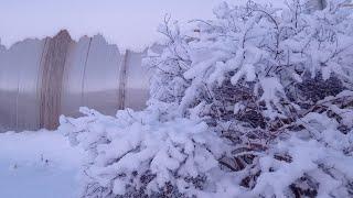 Привезли УГОЛЬ. КАРТОШКА на САЛЕ. Купили свинину.