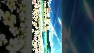 AOT WORLD