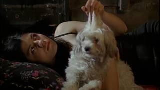 Секс и философия рус00h53m50s 00h57m30s