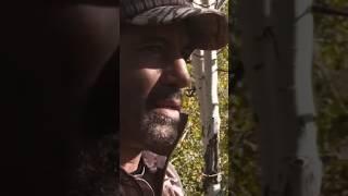 JOE ROGAN perfectly takes MASSIVE BULL ELK (w/ Bow) with Cam Hanes!! #outdoors #joerogan