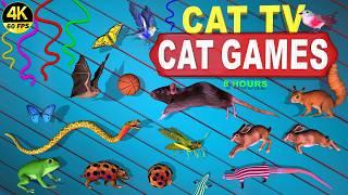 CAT GAMES | VIDEOS FOR CATS TO WATCH ULTIMATE CAT TV ENTERTAINMENT 4K FOR CATS 