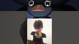 Noot Noot Evan Evan #penguin #evan #nootnoot