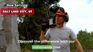 Tree Removal and Stump Grinding Service Salt Lake City, UT