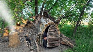 Building a warm and cozy survival shelter deep inside a large tree.Bushcraft