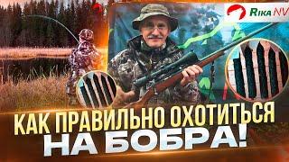 Колбаса из бобра! Как правильно охотиться на бобра? Советы от профессионала - Игоря Кроля.