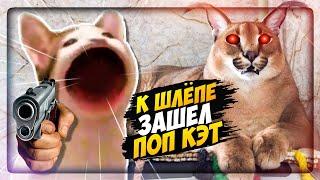 К ШЛЁПЕ В ГОСТИ ПРИШЁЛ ПОП КЭТ! ПЯТЬ НОЧЕЙ У ШЛЁПЫ!  Five Nights at Floppa