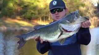 TOP 10 HUGE LARGEMOUTH BASS CAUGHT ON CAMERA! (compilation)