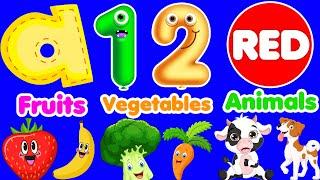 Learn ABC Phonics Shapes Numbers Colors | Preschool Learning Videos For 3 Year Olds | #kidsvideos