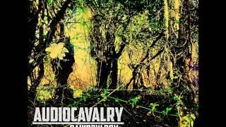 Audio Cavalry - Vortex