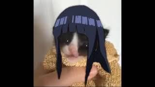 NARUTO-KUN