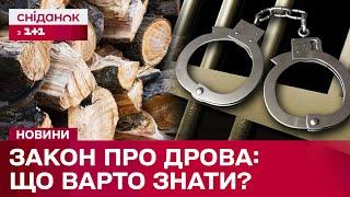 ВАЖЛИВО ЗНАТИ ️ Роз'яснення НОВОГО ЗАКОНОПРОЄКТУ про дрова в Україні! Кого можуть покарати?