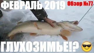 Рыбалка в Феврале Обзор 77 рыбалка в Казахстане 2019