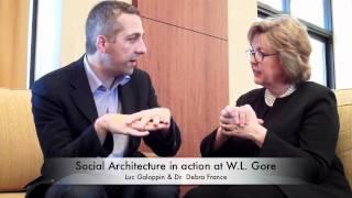 Social Architecture in action at W.L. Gore