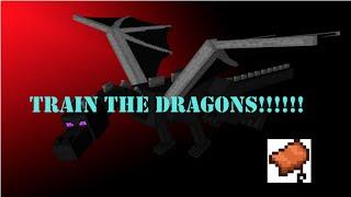 Minecraft |  Dragons, "I will train you dragons"