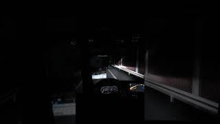 ETS2 is an accurate driving simulator #ets2mp #shorts