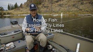 How to Fish: Essential Fly Lines for Fishing Lakes | GoFishBC