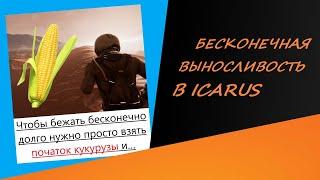 БЕСКОНЕЧНАЯ ВЫНОСЛИВОСТЬ В ICARUS