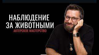 Актерское мастерство - Наблюдение за животными