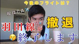 【大晦日の悲劇】　羽田線が来年なくなります。今後、CAを続けるかどうか話します。