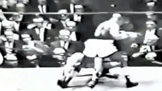 BOXING VINE #18