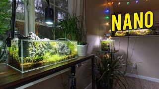 AMAZING Nano Aquascape Fish Room in an Apartment ﻿[Tour]