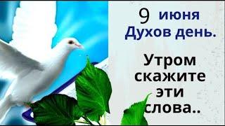 9 июня Духов день. Не метите, чтобы Благодать из дома не вымести