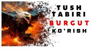 Tushda Burgut Ko'rish Tabiri