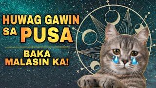 HUWAG GAWIN ITO SA PUSA PARA PATULOY ANG SWERTE | Never do this to your LUCKY CAT 2025