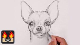 How To Draw a Dog | Chihuahua Sketch Tutorial