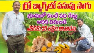 పసుపు సాగులో ఎకరాకు కోటి ఆదాయం | Soilless Hydroponic Grow Bags Farming | AgriTech Telugu