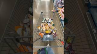 come grocery shopping with me for my 1st apartment ️