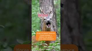 Домашнее задание