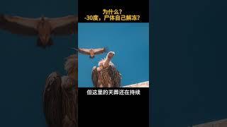 零下30度的天葬台，尸体可以自己解冻？