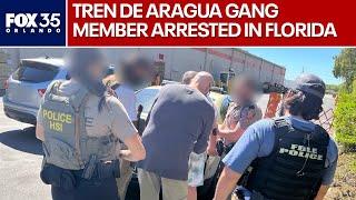 LIVE: Acting ICE Director in Florida to discuss arrest of alleged Tren De Aragua gang member