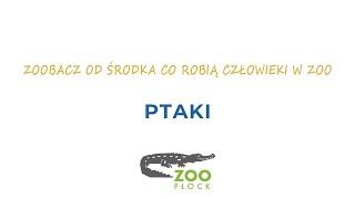 ZOObacz od środka co robią człowieki w ZOO - odc. 5 Ptaki