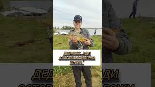 "Иди осторожно положи карпа!"  #fishing #2023 #рыбалка #юмор #holdik