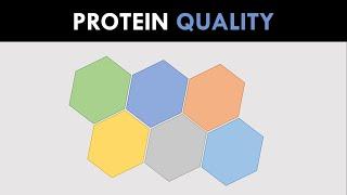 Protein Quality | Nutrition for Body Composition