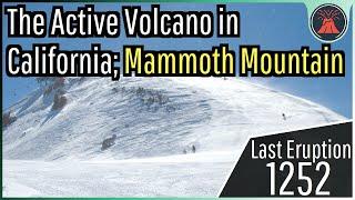 The Active Volcano in California; Mammoth Mountain