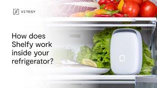 How does Shelfy work inside your refrigerator?