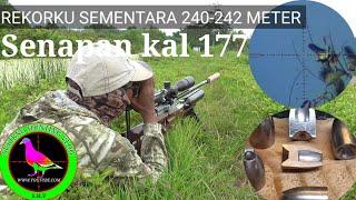 Gila'¶Hit punai jarak 240-242 meter