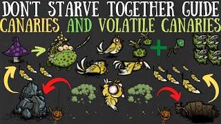 Don't Starve Together Guide: Canaries/Volatile Canaries - Saffron Feather Farming & More